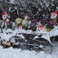 la charette des lutins